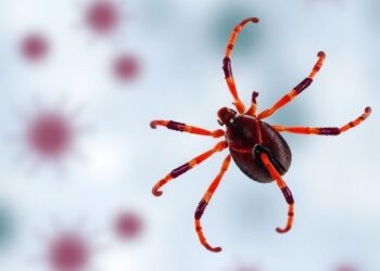 New Tick-Borne Viruses Evade Human Immune System Defense Mechanisms