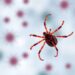 New Tick-Borne Viruses Evade Human Immune System Defense Mechanisms