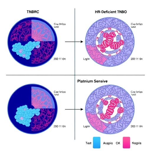 Olaparib Benefits HR-Deficient TNBC and Platinum-Sensitive Ovarian Cancers