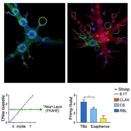 Oncogene Inactivation–Triggered Senescence Enables Tumor Relapse