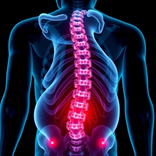 Osteoclasts Trigger DCC Loop Causing Chronic Low Back Pain in Mice