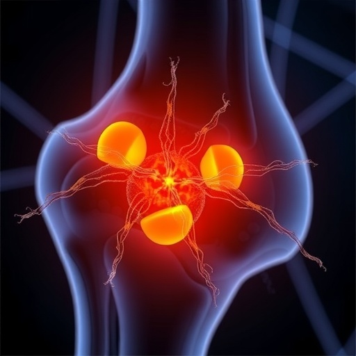 Osteocyte Parvalbumin Drives Mechanotransduction to Reduce Osteoarthritis Progression