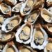Oysters may sustainably ease intestinal inflammation