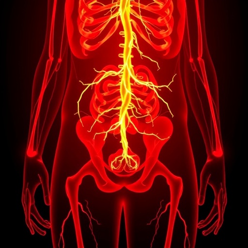 Perineurium Links Leptin to Sympathetic Response to Combat Obesity