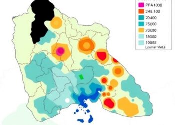 PFAS levels in pregnant women across Suriname: higher concentrations in remote areas
