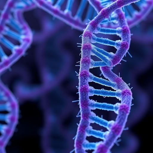 Phage Hijacks Bacterial DNA Phosphorothioate Machinery to Evade Ssp Defenses