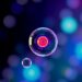 Physics Pairing Enables Label-Free 3D Tracking of Lipid Droplet Motility