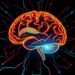 Procedural Memory Replay Happens Independently of the Hippocampus
