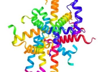 ProteinGuide Offers Property Guidance for Protein Sequence Generative Models