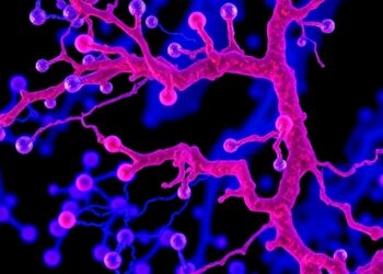 Proteomic Analysis Identifies Prognostic Subgroups in SMARCA-Deficient Esophageal Cancer