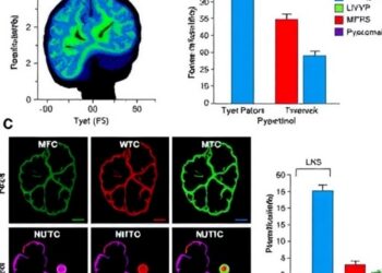 Pycnogenol Reduces Neurobehavioral and Liver Damage from Thioacetamide Exposure