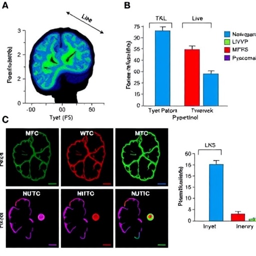 Pycnogenol Reduces Neurobehavioral and Liver Damage from Thioacetamide Exposure