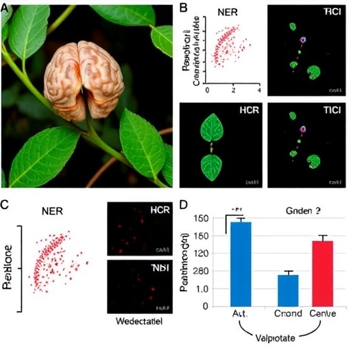 Rannasangpei crocin-1 improves valproate-induced autism-like behaviors by reducing oxidative stress