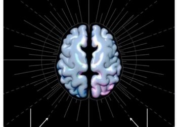 Real-Time Decoding of Human Emotion States Using Integrated Gray and White Matter Signals