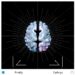 Real-Time Decoding of Human Emotion States Using Integrated Gray and White Matter Signals