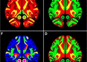 Representations of the intrinsic value of information in mouse orbitofrontal cortex