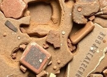 Response to Comment on Harappan Ernestites Geochemical Study