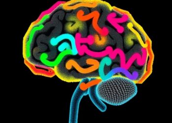 Resting-State EEG Reveals Spectral Power and Connectivity Changes in MSA