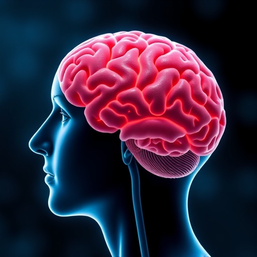 Return exactly one rewritten English science news headline for the original title below. Maximum 12 words. Output plain text only. Do not use HTML, Markdown, quotes, labels, explanations, bullets, numbering, or multiple options. Original title: Why does Parkinson’s disease affect more men than women?