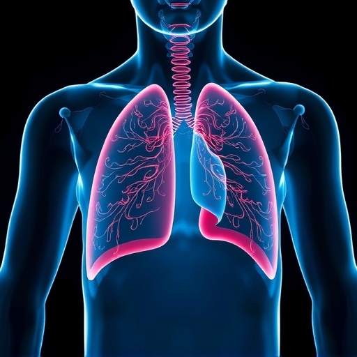 Return exactly one rewritten English science news headline for the original title below. Maximum 12 words. Output plain text only. Do not use HTML, Markdown, quotes, labels, explanations, bullets, numbering, or multiple options. Original title: The moderating role of anti-inflammatory diet on the relationship between chronic obstructive pulmonary disease and frailty in older adults: a nationwide cross-sectional and longitudinal study