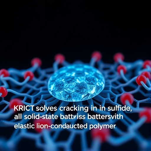 Return exactly one rewritten English science news headline for the original title below. Maximum 12 words. Output plain text only. Do not use HTML, Markdown, quotes, labels, explanations, bullets, numbering, or multiple options. Original title: KRICT solves internal cracking in sulfide all-solid-state batteries with elastic ion-conductive polymer