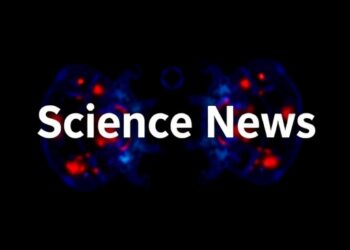 Return exactly one rewritten English science news headline for the original title below. Maximum 12 words. Output plain text only. Do not use HTML, Markdown, quotes, labels, explanations, bullets, numbering, or multiple options. Original title: SBRT embedded in low-dose RT plus αPD-1 (immuno-EclipseRT, iERT) elicits CD8+ T cell immunity against bulky tumors via an IFN-I/NK/DC axis
