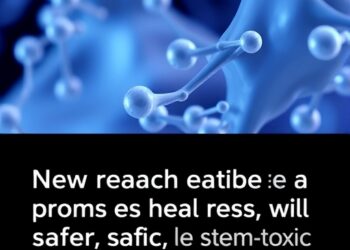 New research provides a promising step towards safer, less toxic stem cell transplants