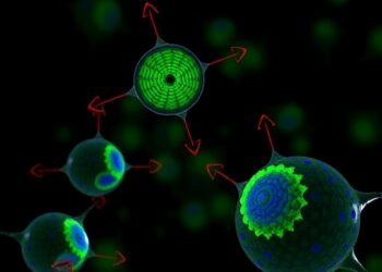 RHOT1/2 Mitochondrial Vesicles Target Tumors and Enable In Situ Vaccination