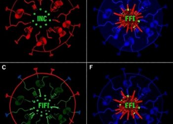 SACF and GILA multi-site study evaluates CRISPR/Cas9-edited cell transformation in vitro
