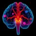 Schizophrenia and subcortical brain vulnerability share common genetic roots