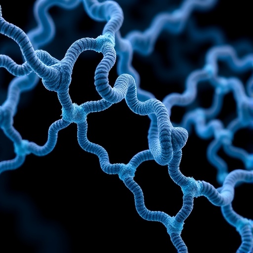 Sericin directs silk fibroin assembly into ordered nanofibrils, study finds