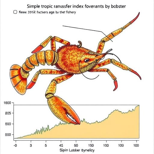Simple trophic transfer index forecasts spiny lobster fishery dynamics