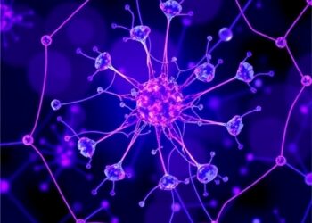 Single-Cell Multi-Omics Reveals Cancer-Associated Fibroblast Programs in Breast Cancer