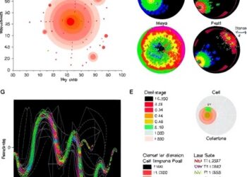Single-Cell Profiling of NK/T-Cell Lymphoma Uncovers Stratified Immune States