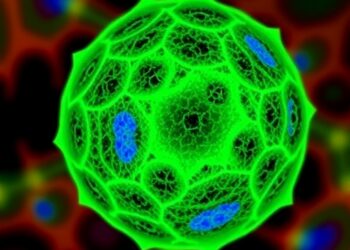 Single-Plane Imaging Tracks Dynamic 3D Structures in Living Cells with Focus Feedback