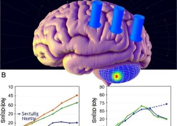 Sleep spindles linked to cognitive performance in euthymic bipolar disorder