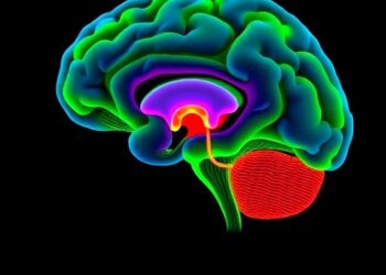Social Isolation Disrupts Prefrontal Excitatory–Inhibitory Balance, Impairs Novel Social Memory in Male Mice