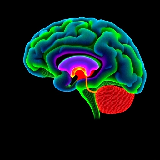 Social Isolation Disrupts Prefrontal Excitatory–Inhibitory Balance, Impairs Novel Social Memory in Male Mice