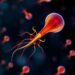 Sperm quality varies regionally even with similar lifestyles, study finds