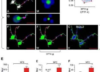 SPF2 and SGO2/CTF18 limit centromere-near crossovers by regulating SUMOylation