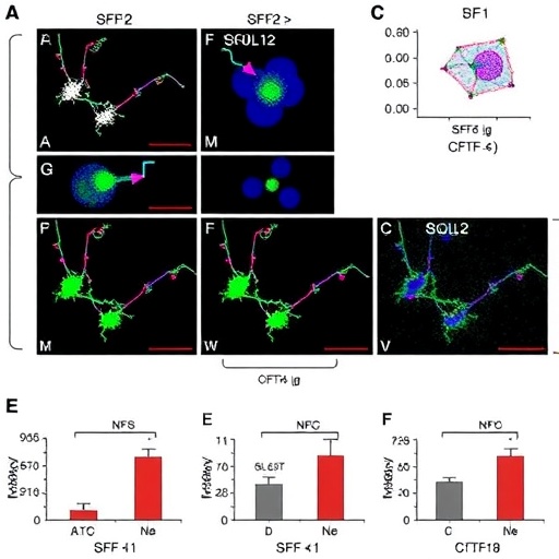 SPF2 and SGO2/CTF18 limit centromere-near crossovers by regulating SUMOylation