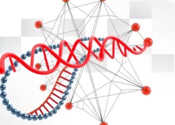 Structure-alignment-driven cross-graph modeling for functional RNA design