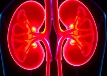 Study Finds Casdatifan Produces Durable Tumor Responses in Advanced Kidney Cancer