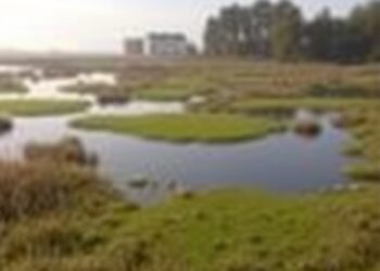 Study identifies Europe’s most critical wetlands for climate action