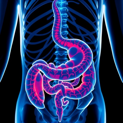 Study Links Early PFAS Exposure to Childhood Intestinal Inflammation at Mount Sinai