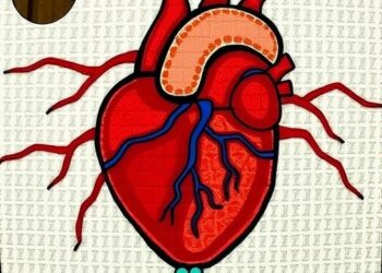 Study reveals what drives heart disease in Indigenous communities