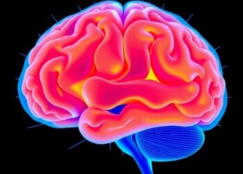 Study Shows Adolescent Brain Remodeling Improves Memory Formation