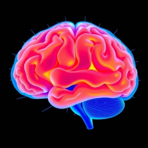 Study Shows Adolescent Brain Remodeling Improves Memory Formation