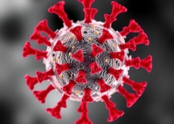 Study Shows Dengue Virus Infects Immune Cells Designed to Prevent Infection