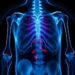 Sulfated polysaccharides target RANK Lys97 to inhibit osteoclast differentiation and reverse osteoporosis